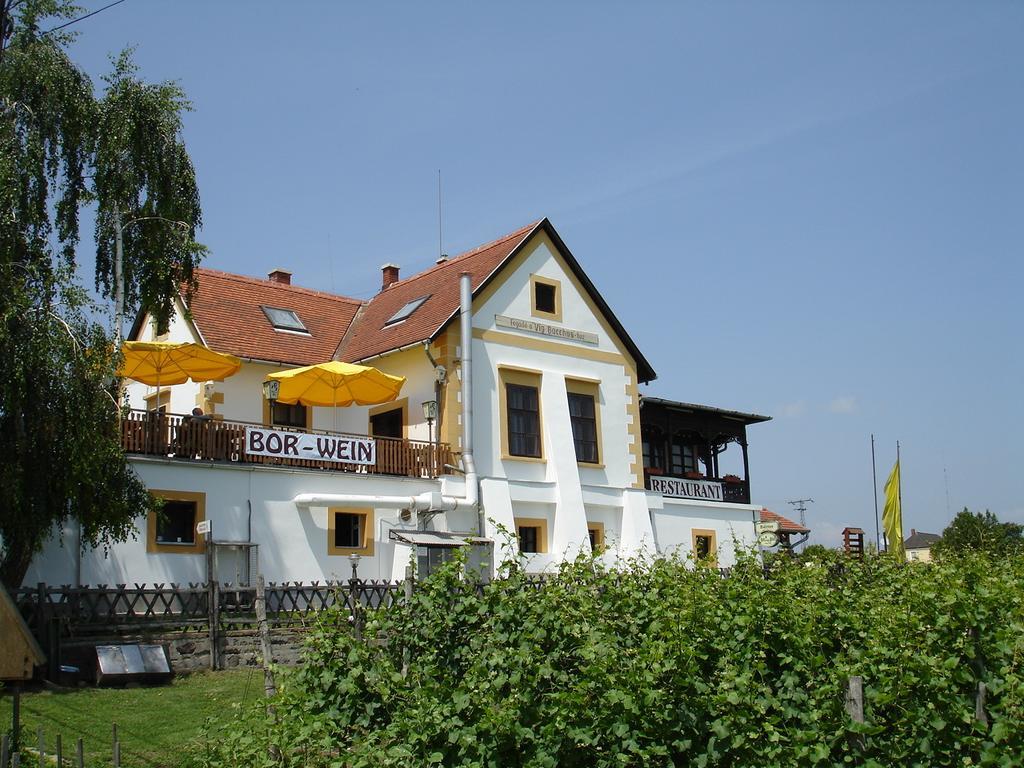 Bacchus Apartman - Borbarlang, Badacsony Badacsonytomaj Exterior foto