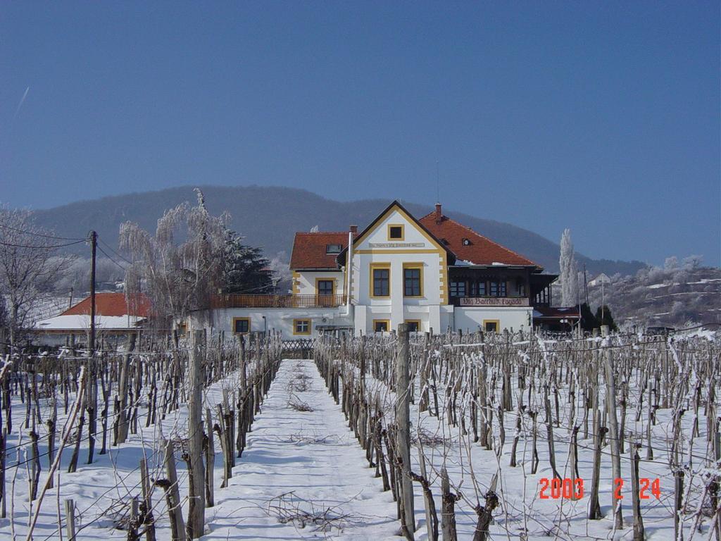 Bacchus Apartman - Borbarlang, Badacsony Badacsonytomaj Exterior foto