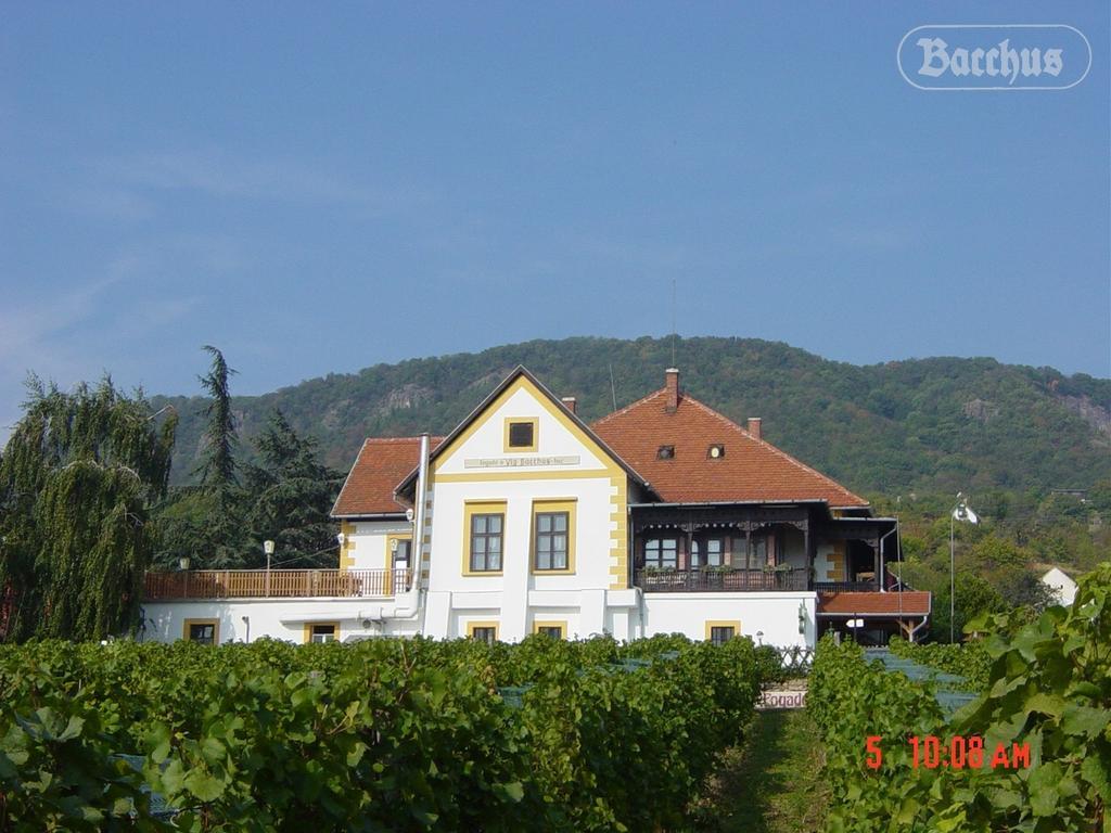 Bacchus Apartman - Borbarlang, Badacsony Badacsonytomaj Exterior foto